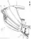 Fig. 21 - Two-wheeled vehicle