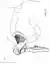 Fig. 04 - Control device for a bicycle