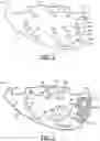 Fig. 03 - Water ski fin