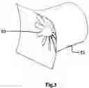 Fig. 04 - Modular Device For Propulsion In A Vehicle