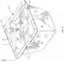 Fig. 05 - Tray For Food Products
