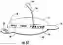 Fig. 14 - Membrane lid with integrated peelable portion