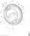 Fig. 02 - Drink lid for a cup
