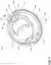 Fig. 08 - Drink lid for a cup
