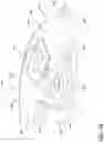 Fig. 18 - Drink lid for a cup