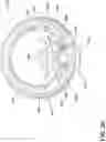 Fig. 20 - Drink lid for a cup