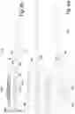 Fig. 13 - Method for transversely positioning an article to be transported