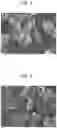 Fig. 05 - TITANIUM PHOSPHATE POWDER, PRODUCTION METHOD THEREFOR, AND WHITE PIGMENT FOR COSMETICS