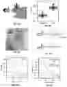Fig. 06 - REDUCED GRAPHENE OXIDE FILM COMPRISING A STACK OF RGO LAYERS AND ITS APPLICATIONS