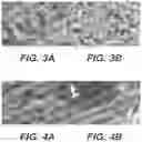Fig. 04 - ACTIVATED CARBON MATERIALS, AND METHODS OF PREPARING THEREOF AND USES THEREOF