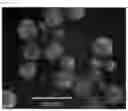 Fig. 02 - Colloidal silica and method for producing same