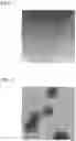 Fig. 07 - REDUCTION MATERIAL, COMPOSITE BODY AND REDUCTION METHOD