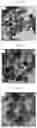 Fig. 04 - Method for making mesoporous magnesium hydroxide nanoplates, an antibacterial composition, and a method of reducing nitroaromatic compounds