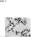 Fig. 02 - Calcium carbonate with controlled particle morphology, method for producing the same, and crystal growth method