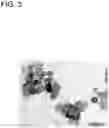 Fig. 04 - Calcium carbonate with controlled particle morphology, method for producing the same, and crystal growth method