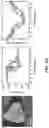 Fig. 09 - Layered group III-V compound including additive elements and having ferroelectric-like properties, and nanosheet using the same