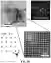 Fig. 28 - Layered group III-V compound including additive elements and having ferroelectric-like properties, and nanosheet using the same