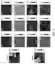 Fig. 29 - Layered group III-V compound including additive elements and having ferroelectric-like properties, and nanosheet using the same