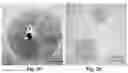 Fig. 04 - Method for Direct Synthesis of Nanomaterials by Heating of Bulk Sources