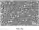 Fig. 12 - THIN FILM COATING