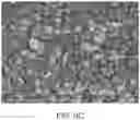 Fig. 13 - THIN FILM COATING
