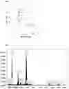Fig. 05 - Functional coated article