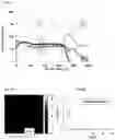 Fig. 06 - Functional coated article