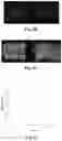 Fig. 05 - LIVING STRUCTURAL MATERIAL