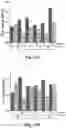 Fig. 11 - LIVING STRUCTURAL MATERIAL
