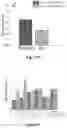 Fig. 12 - LIVING STRUCTURAL MATERIAL