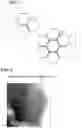 Fig. 02 - Tungsten carbide powder