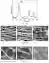 Fig. 14 - Double-negative-index ceramic aerogels for thermal superinsulation