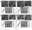 Fig. 21 - Double-negative-index ceramic aerogels for thermal superinsulation