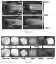 Fig. 25 - Double-negative-index ceramic aerogels for thermal superinsulation
