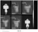 Fig. 32 - Double-negative-index ceramic aerogels for thermal superinsulation