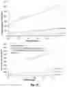 Fig. 07 - ENERGY-RELEASING COMPOSITE MATERIAL AND METHOD FOR MANUFACTURING SAME