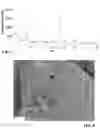 Fig. 05 - Zeolite, process for making same, and use thereof in converting aromatic hydrocarbons