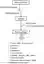 Fig. 01 - Hydroformylated triglycerides and uses thereof