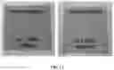 Fig. 18 - Hydroformylated triglycerides and uses thereof