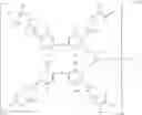 Fig. 10 - COMPOUND, RESIN, COMPOSITION, RESIST PATTERN FORMATION METHOD, CIRCUIT PATTERN FORMATION METHOD, AND METHOD FOR PURIFYING RESIN
