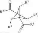 Fig. 08 - Continuous synthesis method for 1, 1′-bicyclic [1.1.1]pentane-1,3-diethyl ketone compounds