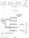 Fig. 06 - SHIKIMATE ANALOGUES AND METHODS OF USE