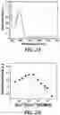 Fig. 03 - Molecular probe for selective detection of copper (II) ions