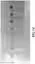 Fig. 17 - Molecular probe for selective detection of copper (II) ions