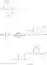 Fig. 239 - COMPOUND