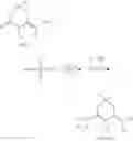 Fig. 241 - COMPOUND