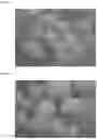 Fig. 02 - Composition and method for treating urea