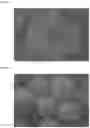 Fig. 03 - Composition and method for treating urea