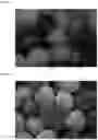 Fig. 04 - Composition and method for treating urea