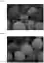 Fig. 05 - Composition and method for treating urea
